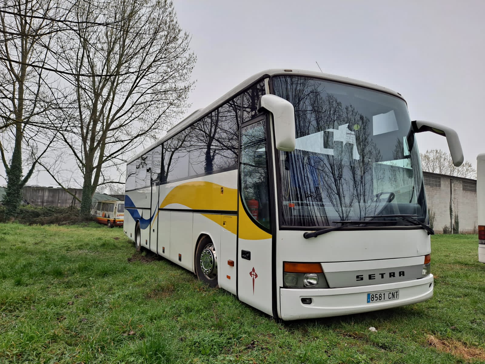 Setra Bus 