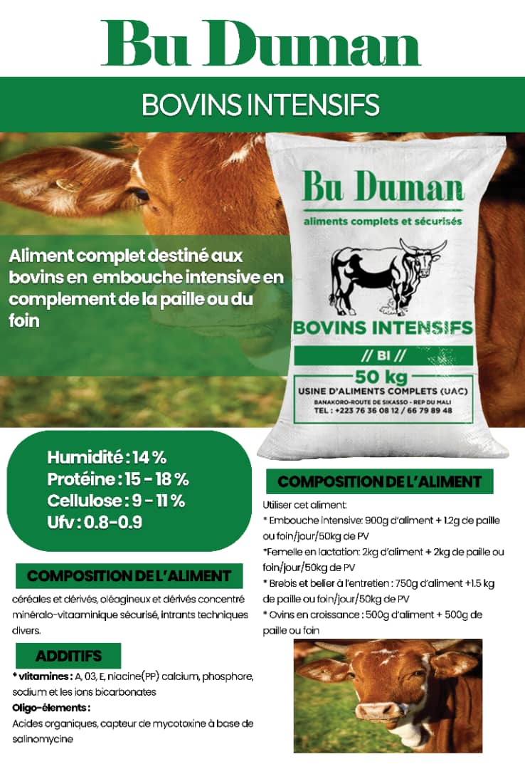 Bu Duman BOVINS INTENSIFS